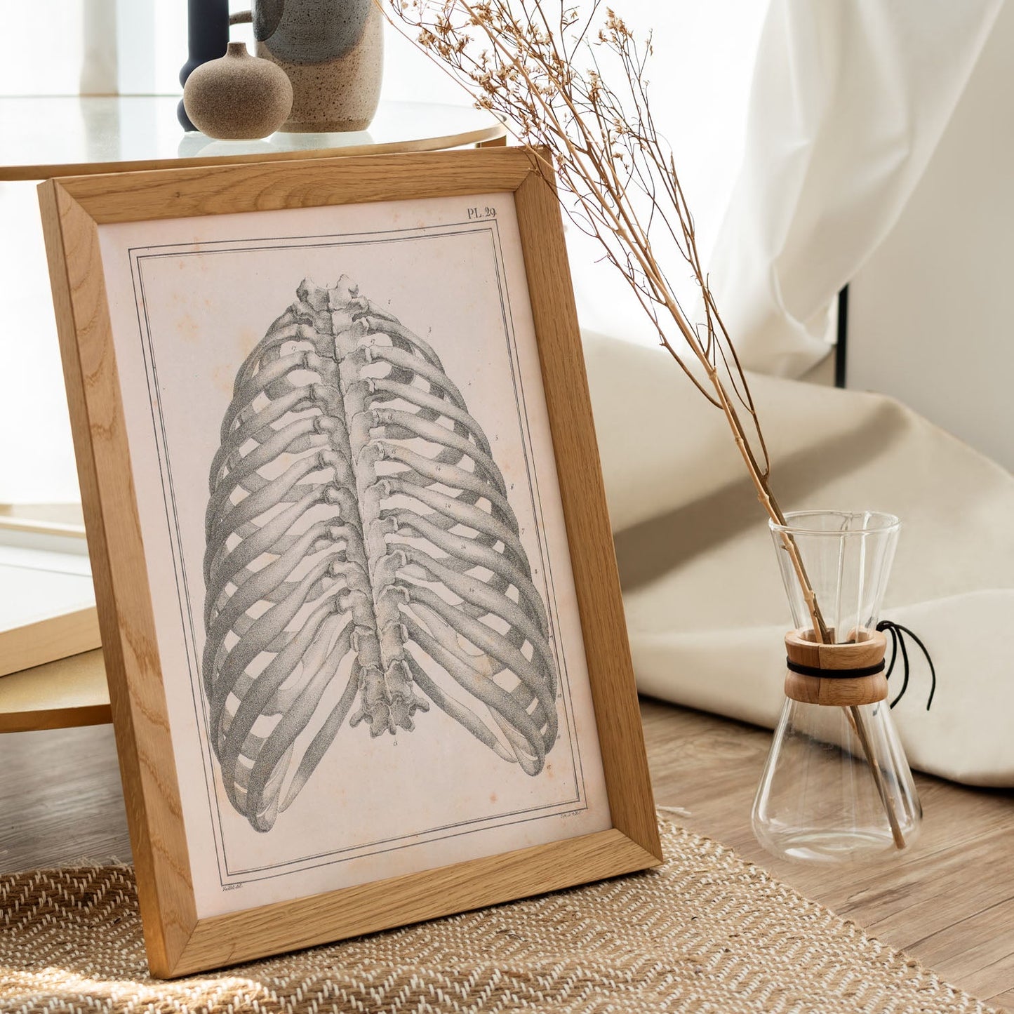 Paillou Back Ribs, sternum and thoracic vertebrae-Artwork-Nacnic-Nacnic Estudio SL