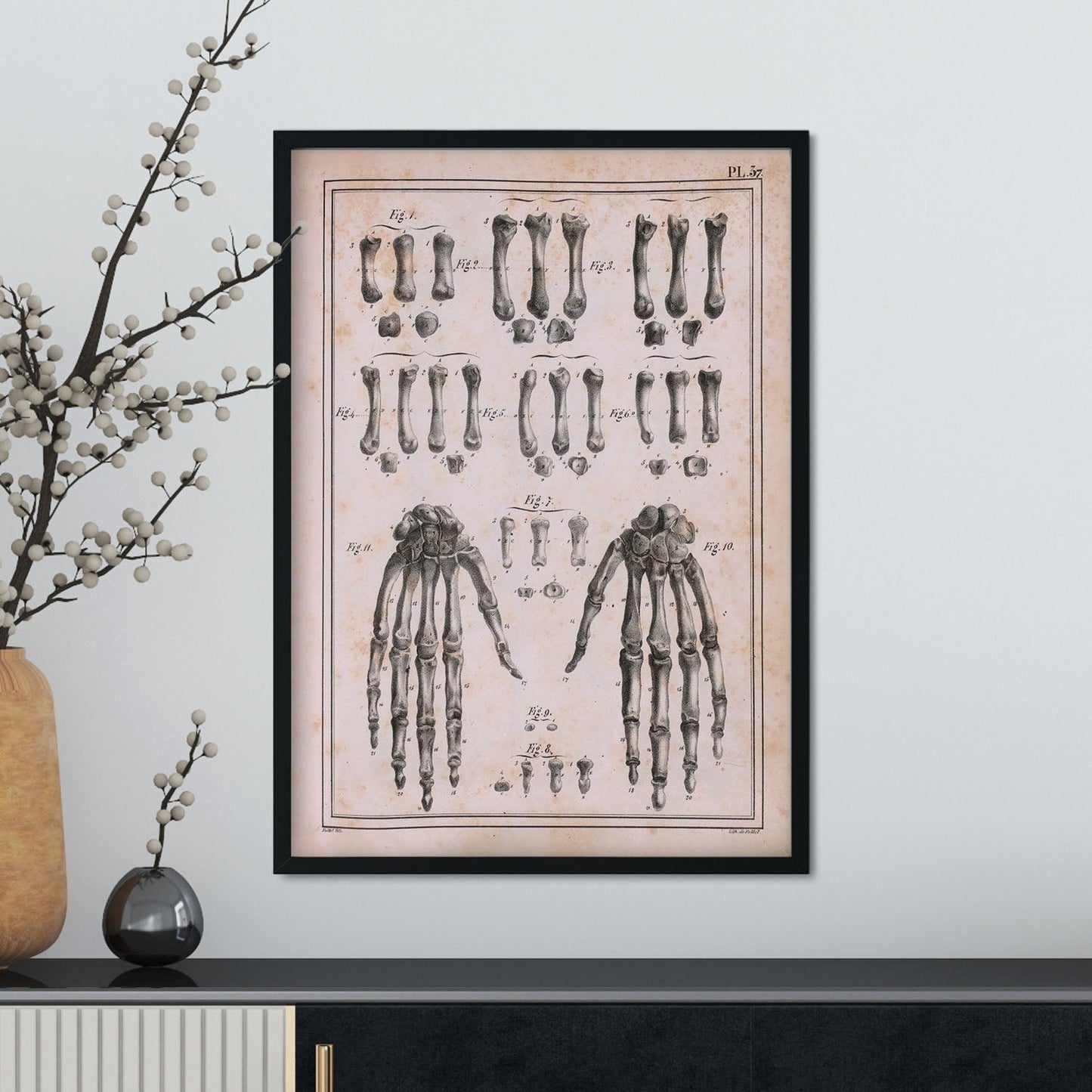 Paillou Carpal bones and metacarpus-Artwork-Nacnic-Nacnic Estudio SL