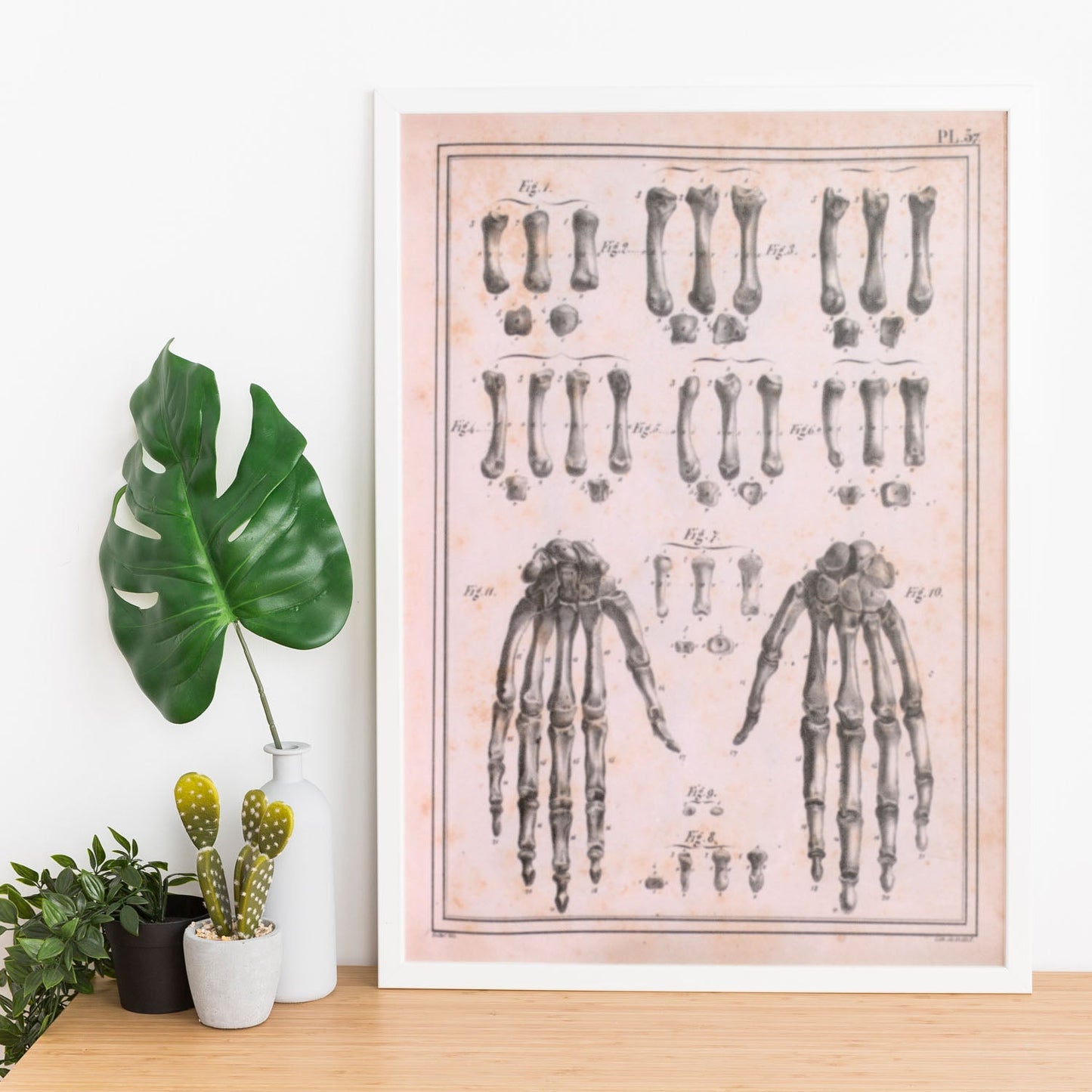 Paillou Carpal bones and metacarpus-Artwork-Nacnic-Nacnic Estudio SL