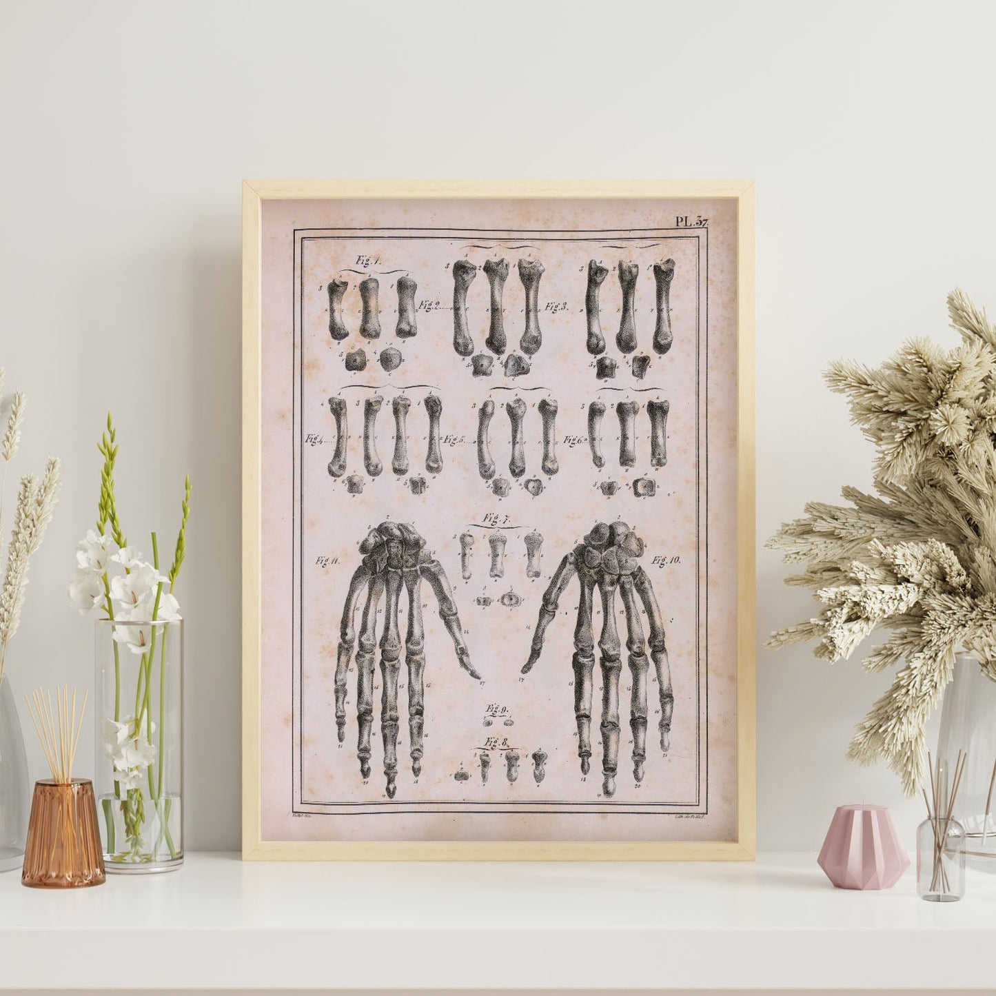 Paillou Carpal bones and metacarpus-Artwork-Nacnic-Nacnic Estudio SL