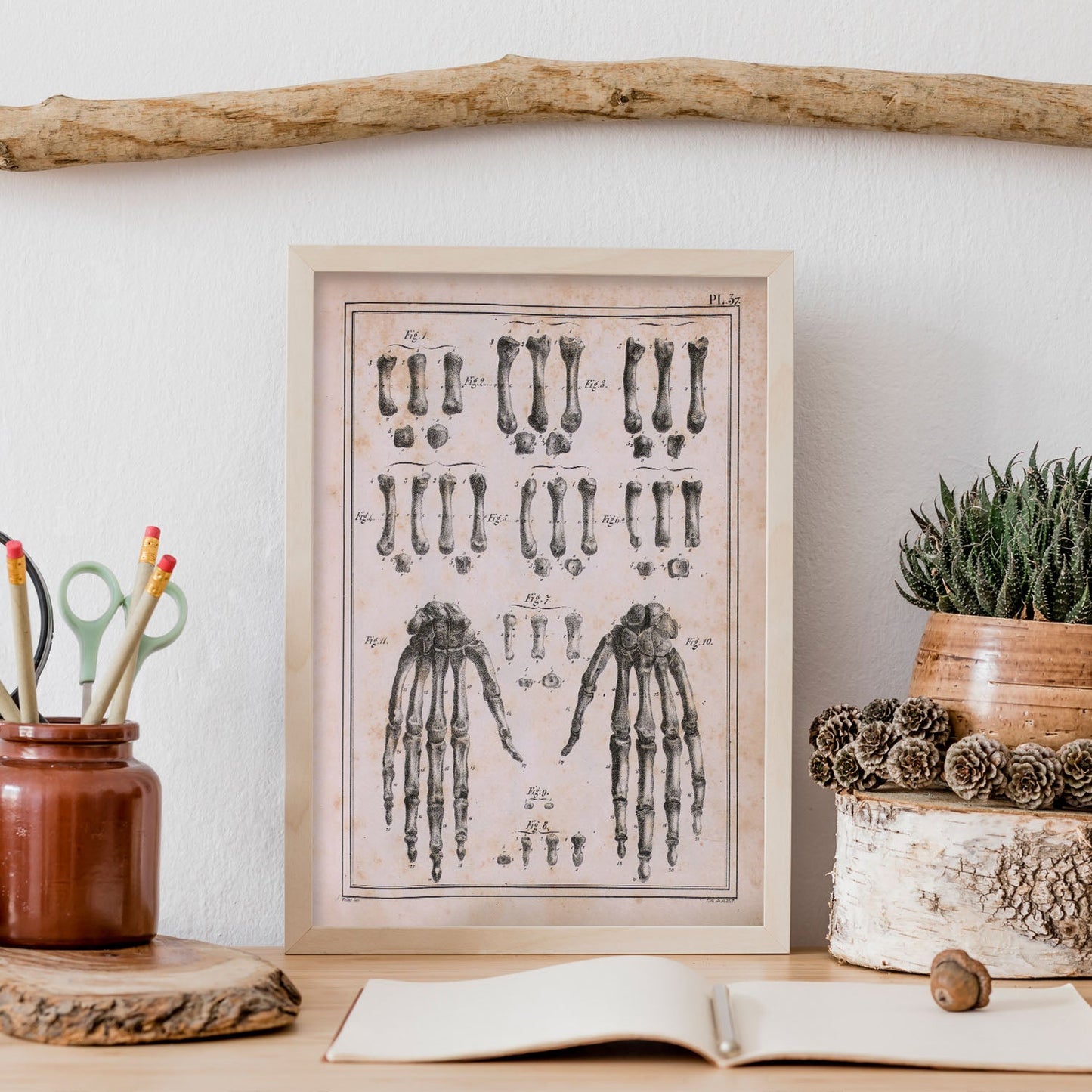 Paillou Carpal bones and metacarpus-Artwork-Nacnic-Nacnic Estudio SL