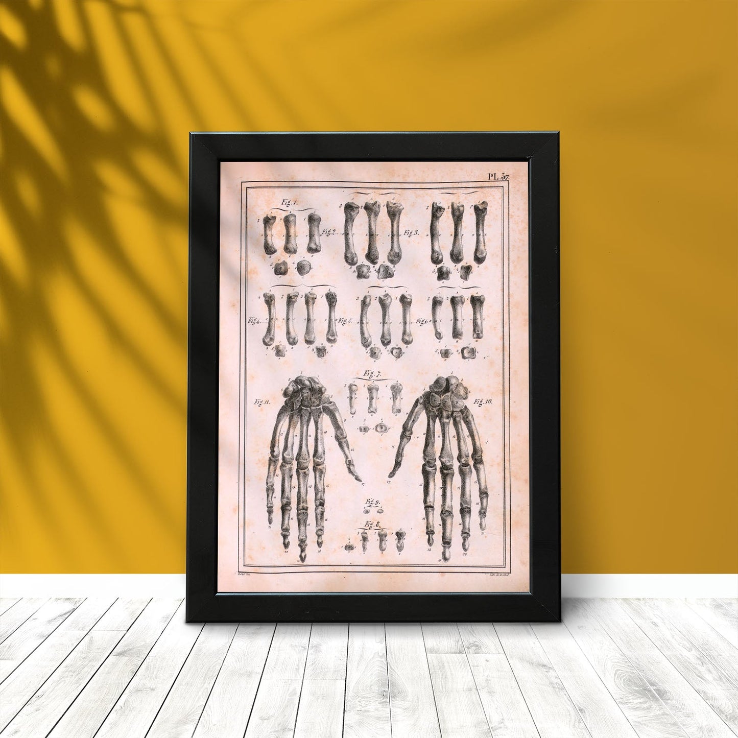 Paillou Carpal bones and metacarpus-Artwork-Nacnic-Nacnic Estudio SL