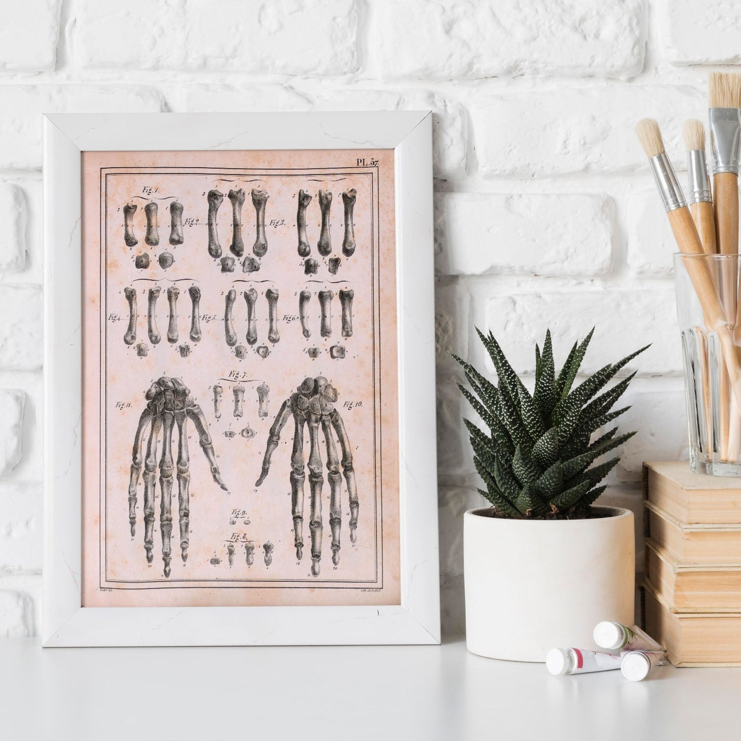 Paillou Carpal bones and metacarpus-Artwork-Nacnic-Nacnic Estudio SL