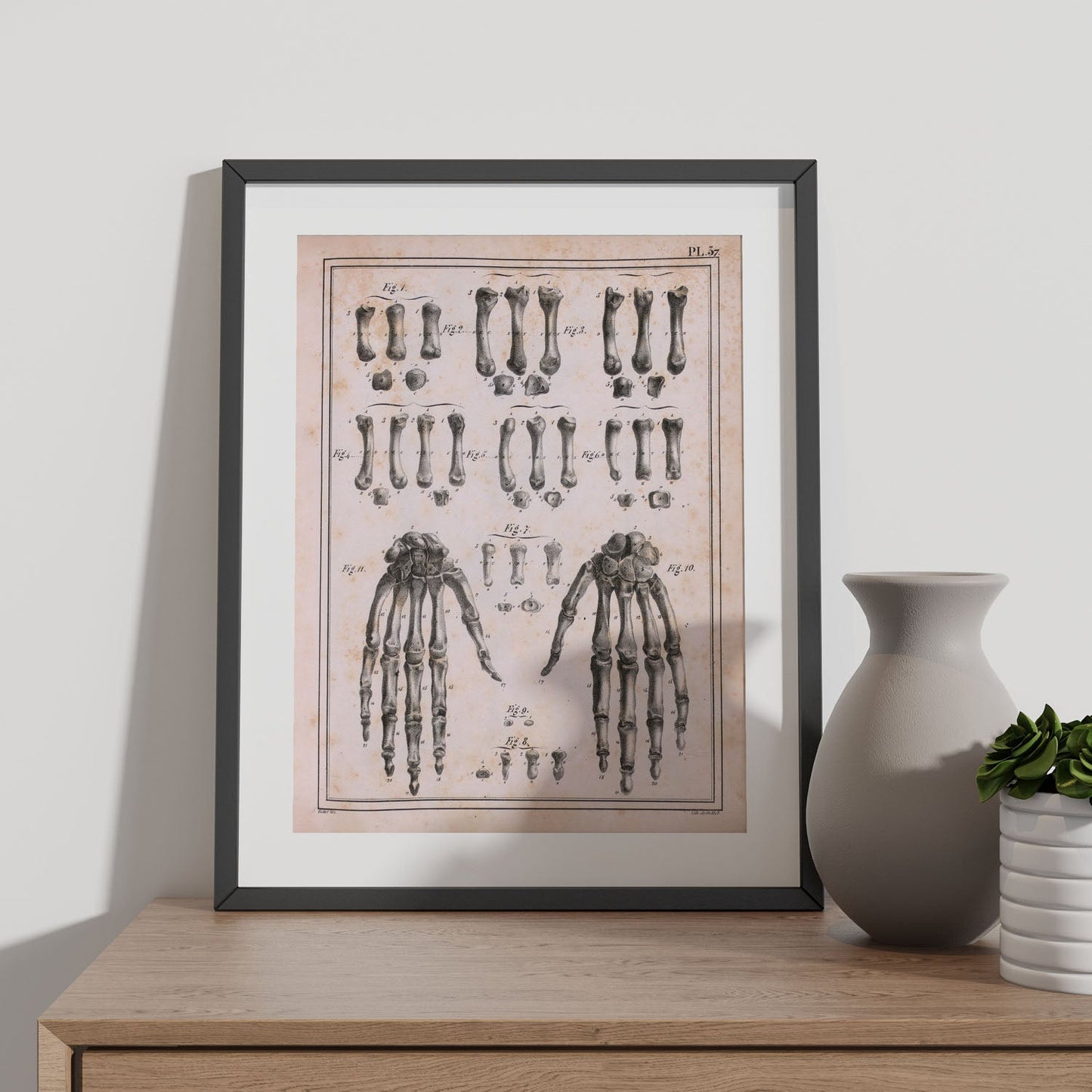 Paillou Carpal bones and metacarpus-Artwork-Nacnic-Nacnic Estudio SL