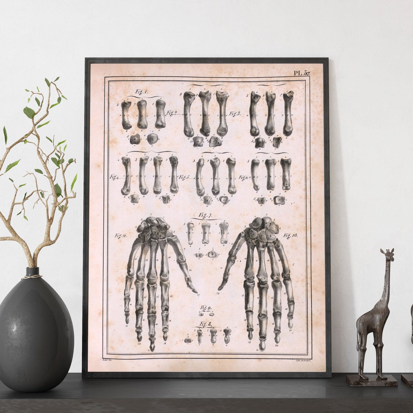Paillou Carpal bones and metacarpus-Artwork-Nacnic-Nacnic Estudio SL