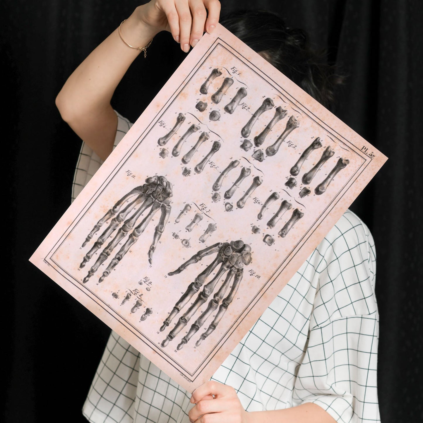 Paillou Carpal bones and metacarpus-Artwork-Nacnic-Nacnic Estudio SL