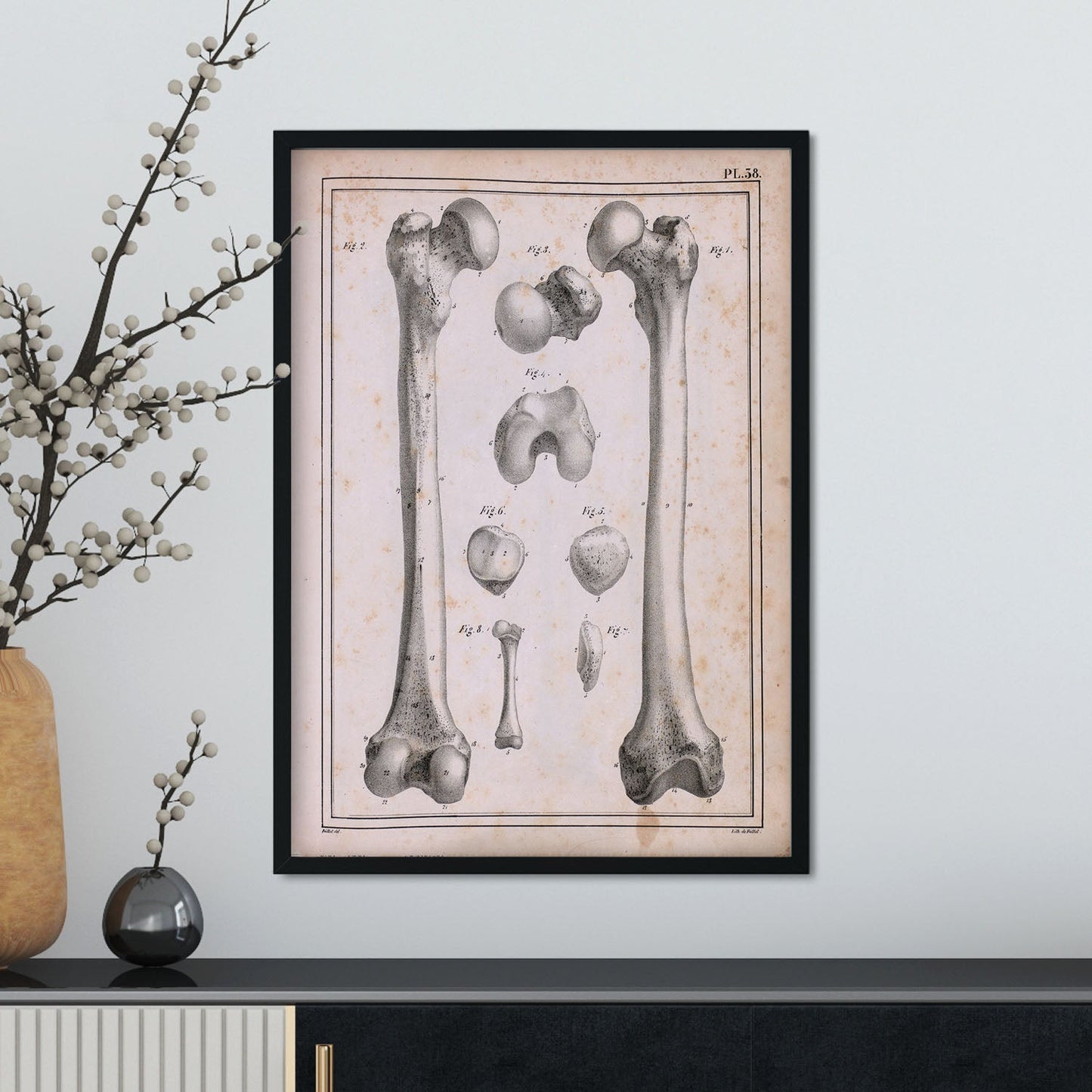 Paillou Femur of an adult and fetus-Artwork-Nacnic-Nacnic Estudio SL