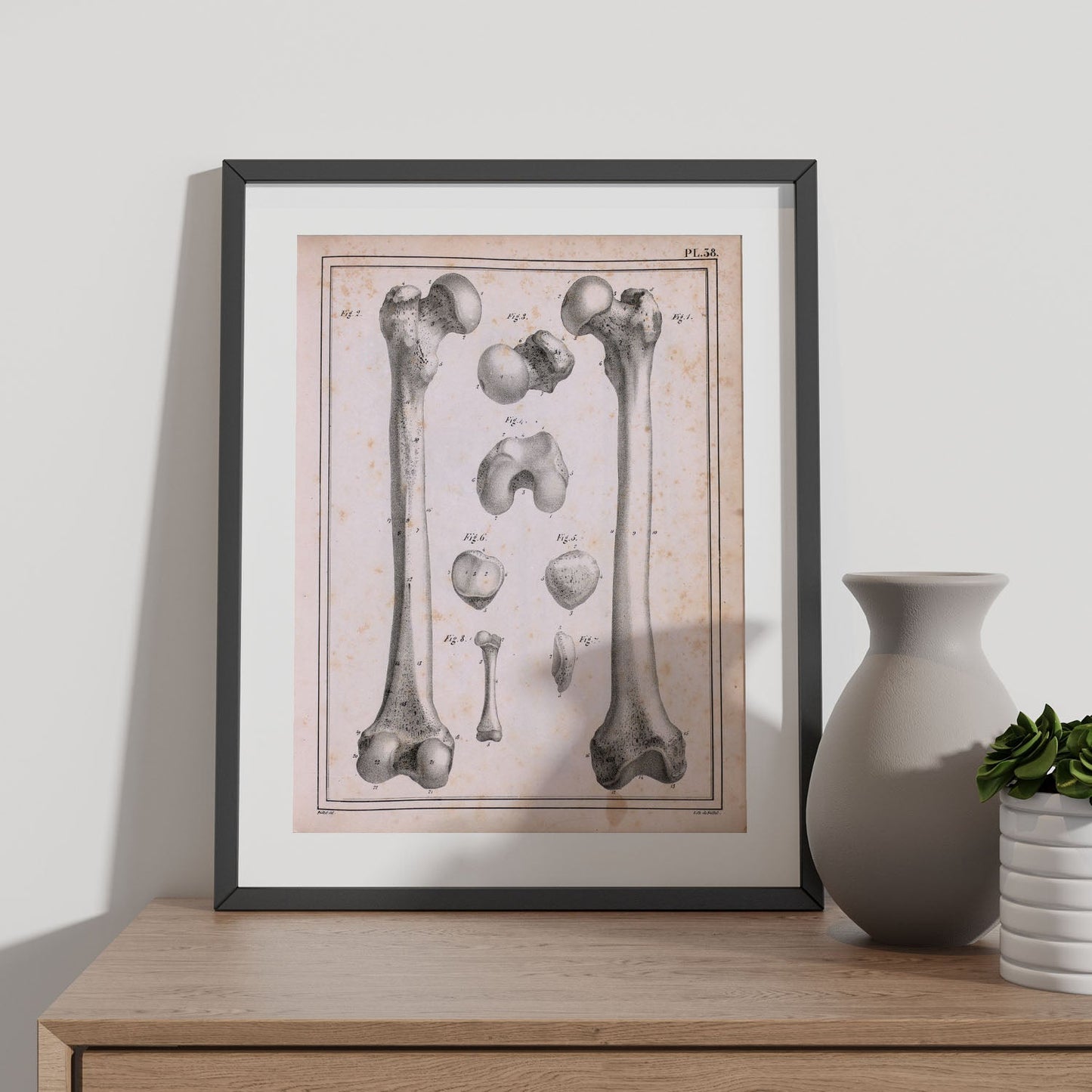 Paillou Femur of an adult and fetus-Artwork-Nacnic-Nacnic Estudio SL