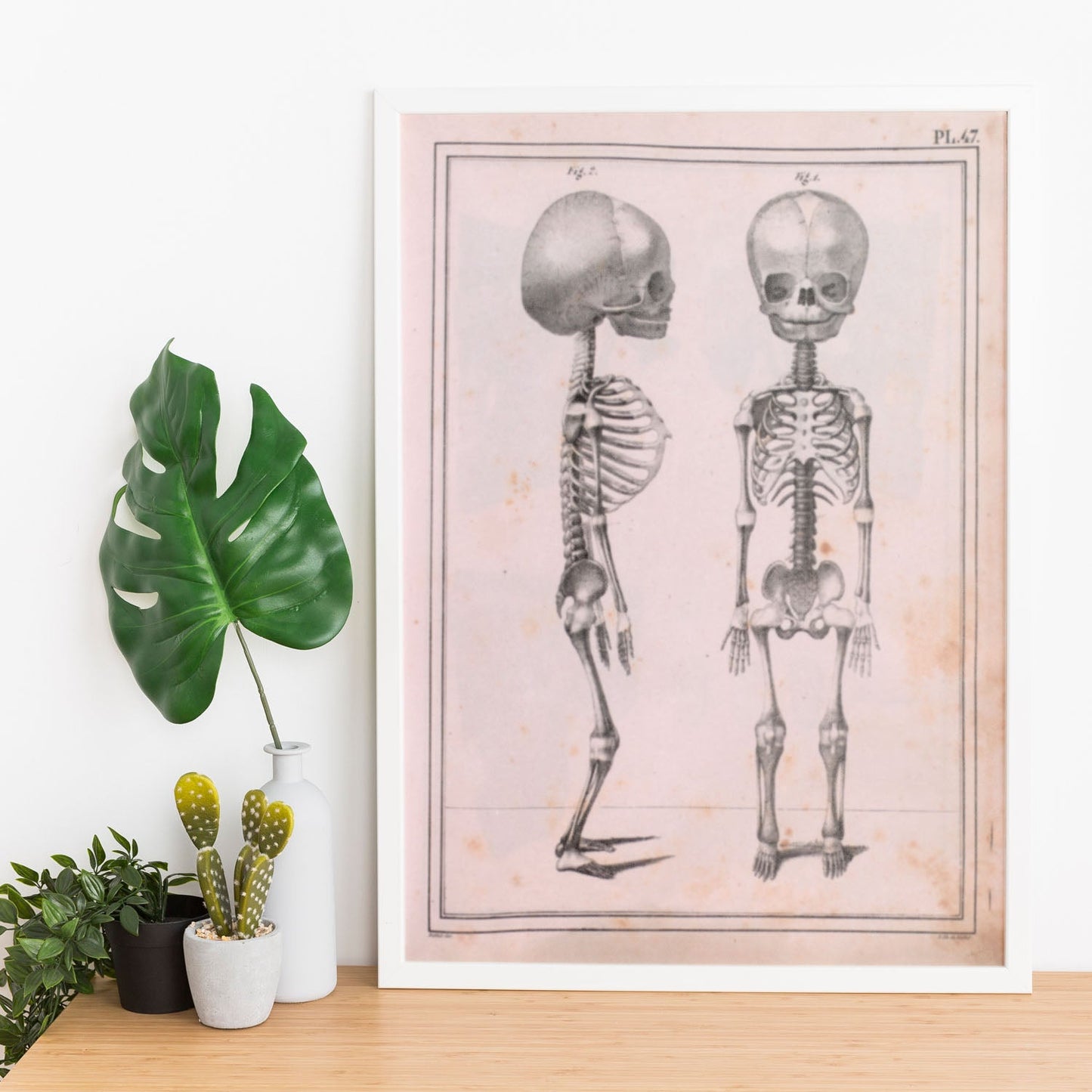 Paillou Fetal skeleton-Artwork-Nacnic-Nacnic Estudio SL