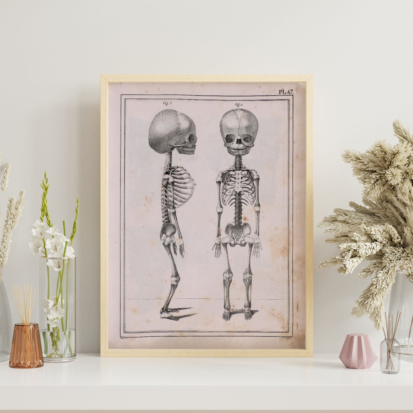 Paillou Fetal skeleton-Artwork-Nacnic-Nacnic Estudio SL