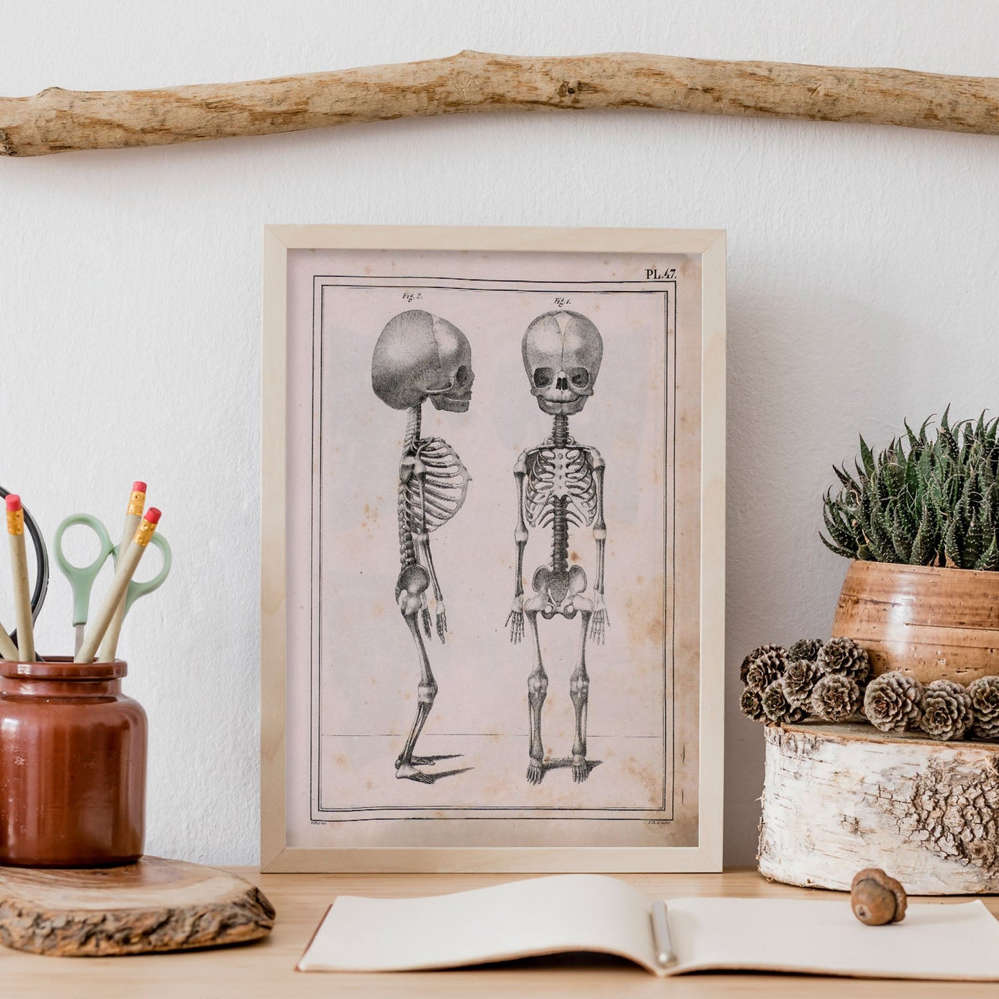Paillou Fetal skeleton-Artwork-Nacnic-Nacnic Estudio SL