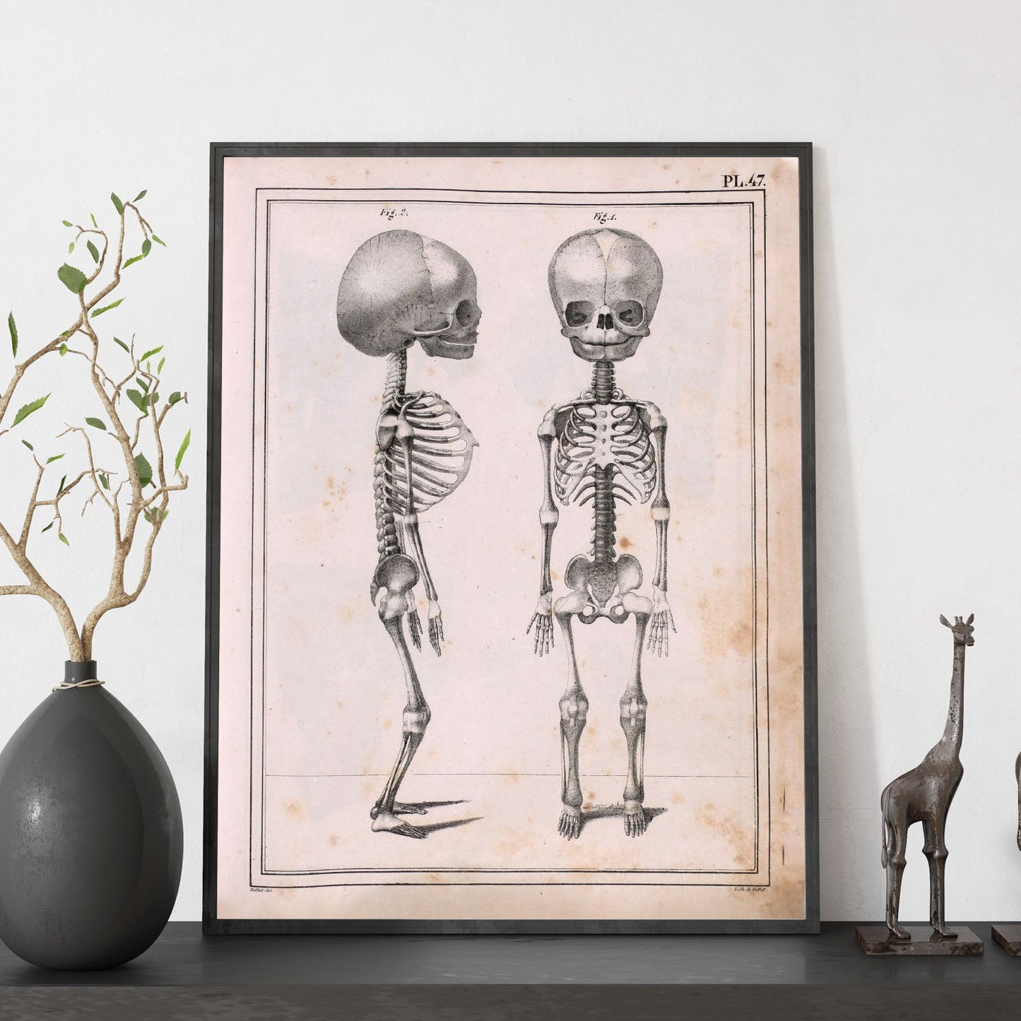 Paillou Fetal skeleton-Artwork-Nacnic-Nacnic Estudio SL