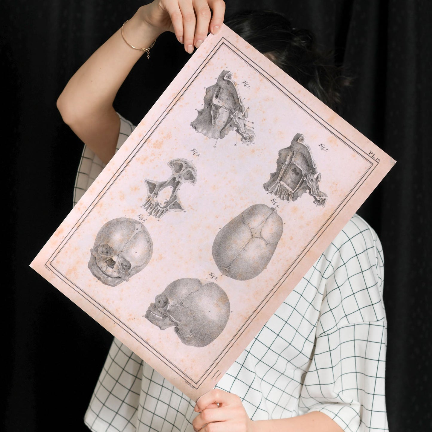 Paillou Fetal skull-Artwork-Nacnic-Nacnic Estudio SL