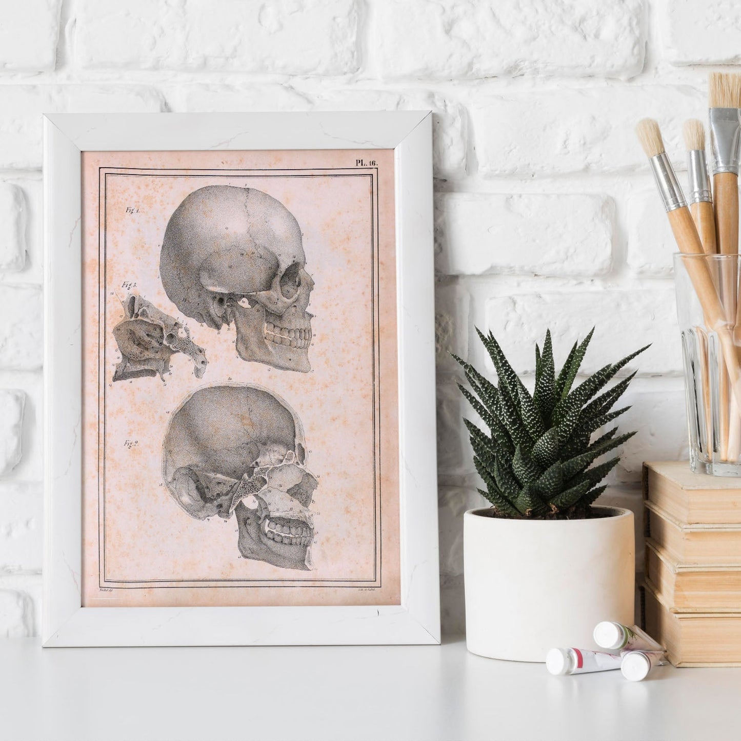 Paillou Sideview Skull-Artwork-Nacnic-Nacnic Estudio SL