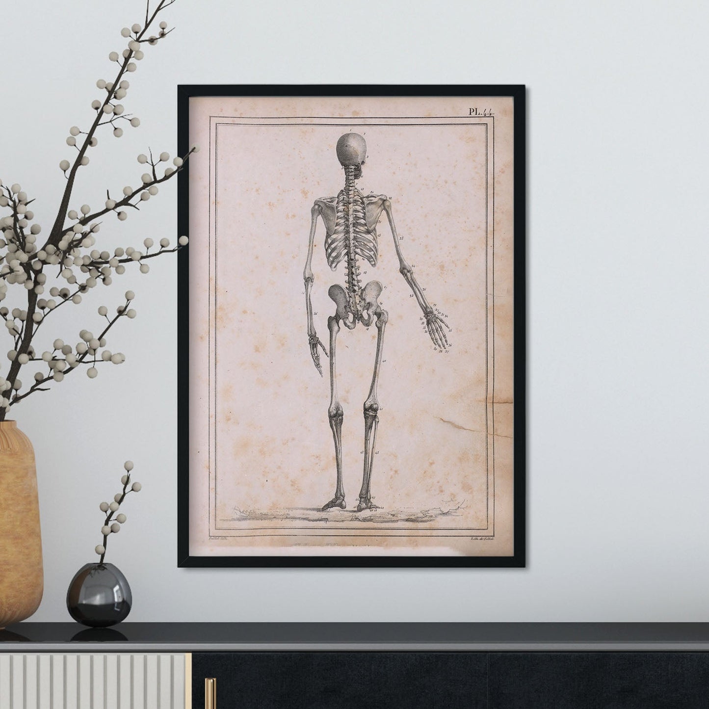 Paillou Skeleton-Artwork-Nacnic-Nacnic Estudio SL