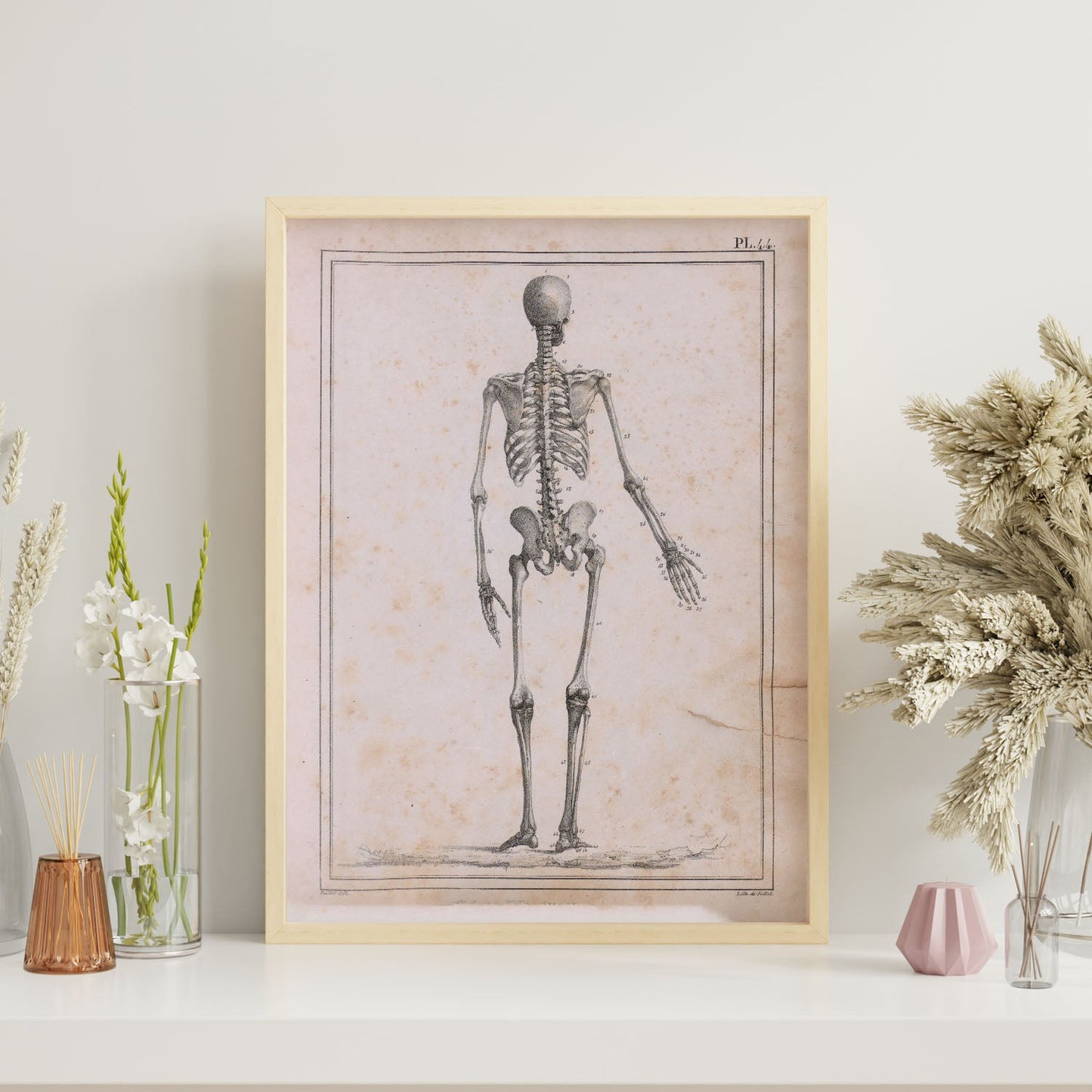 Paillou Skeleton-Artwork-Nacnic-Nacnic Estudio SL