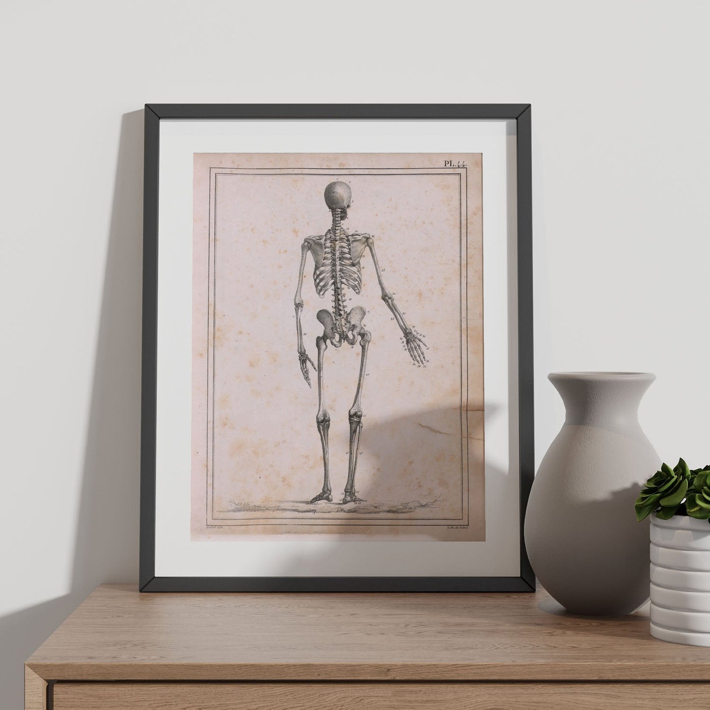 Paillou Skeleton-Artwork-Nacnic-Nacnic Estudio SL