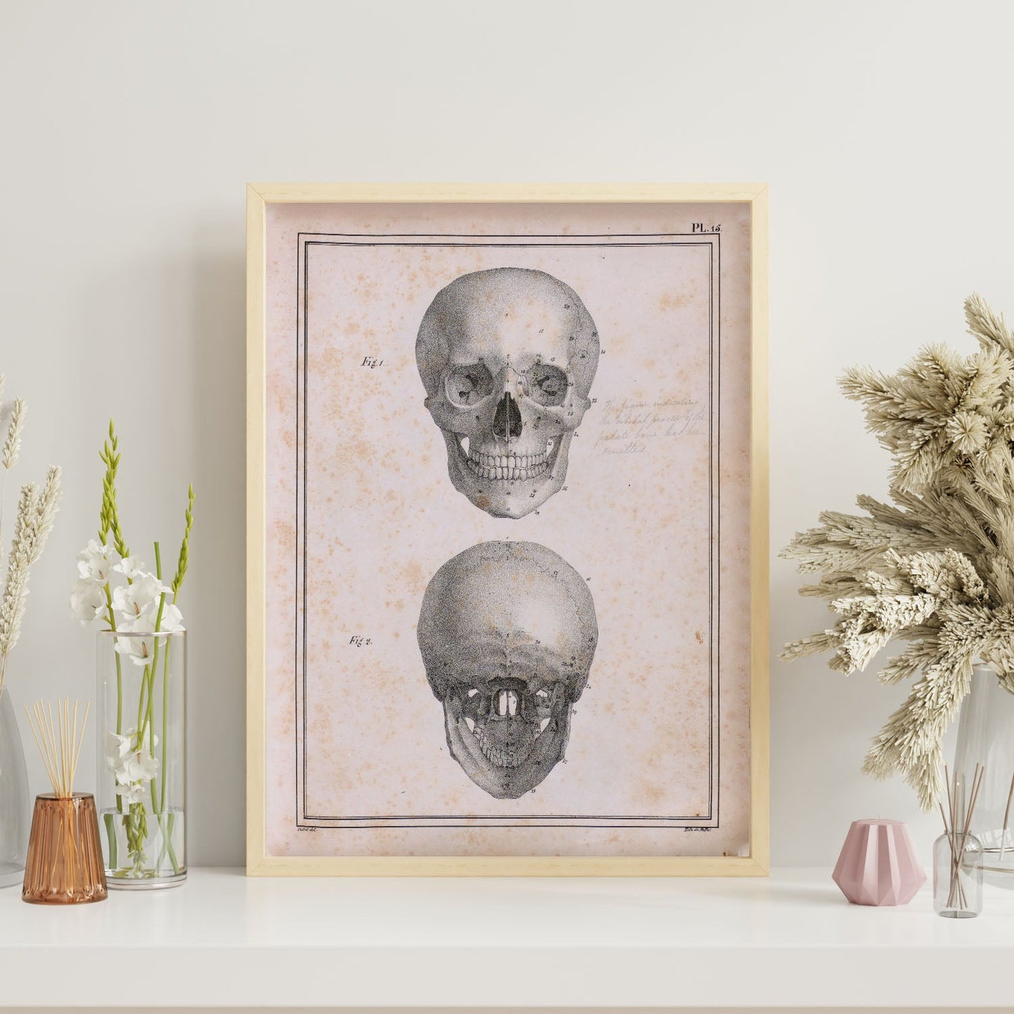 Paillou Skull-Artwork-Nacnic-Nacnic Estudio SL