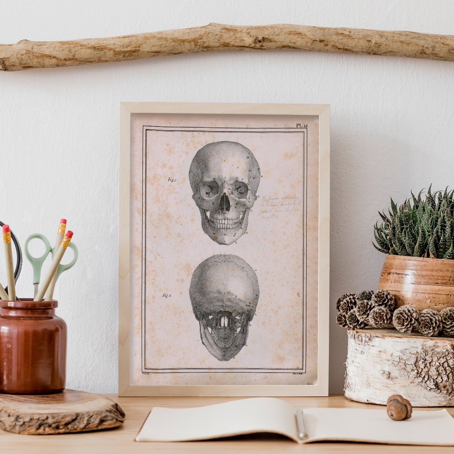 Paillou Skull-Artwork-Nacnic-Nacnic Estudio SL