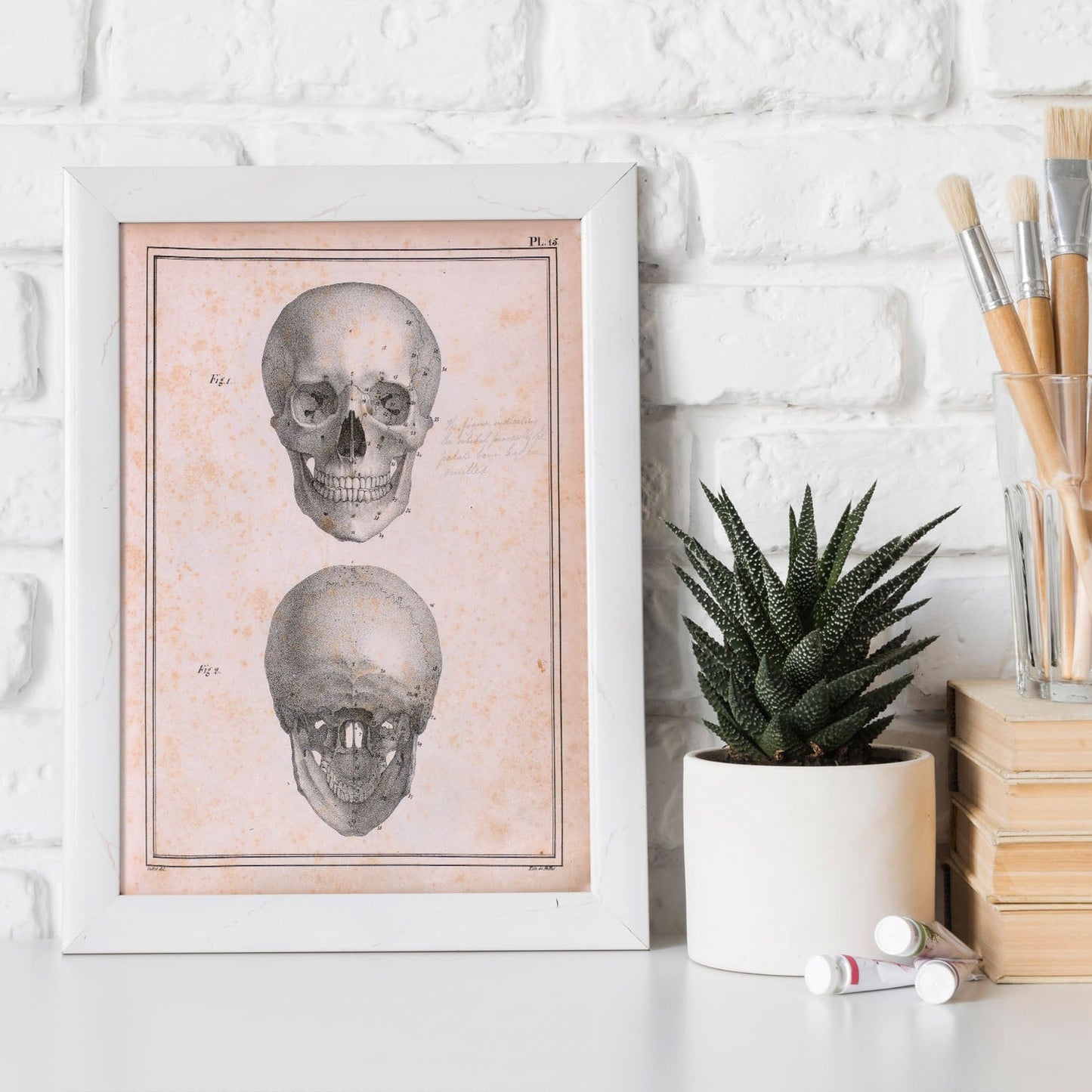 Paillou Skull-Artwork-Nacnic-Nacnic Estudio SL