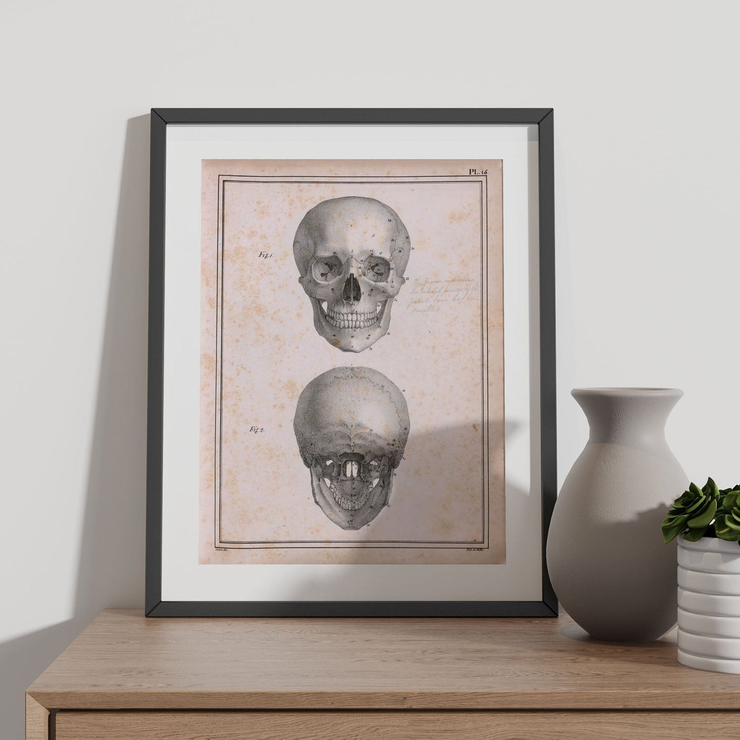 Paillou Skull-Artwork-Nacnic-Nacnic Estudio SL