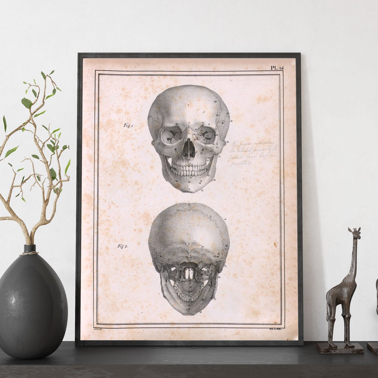 Paillou Skull-Artwork-Nacnic-Nacnic Estudio SL