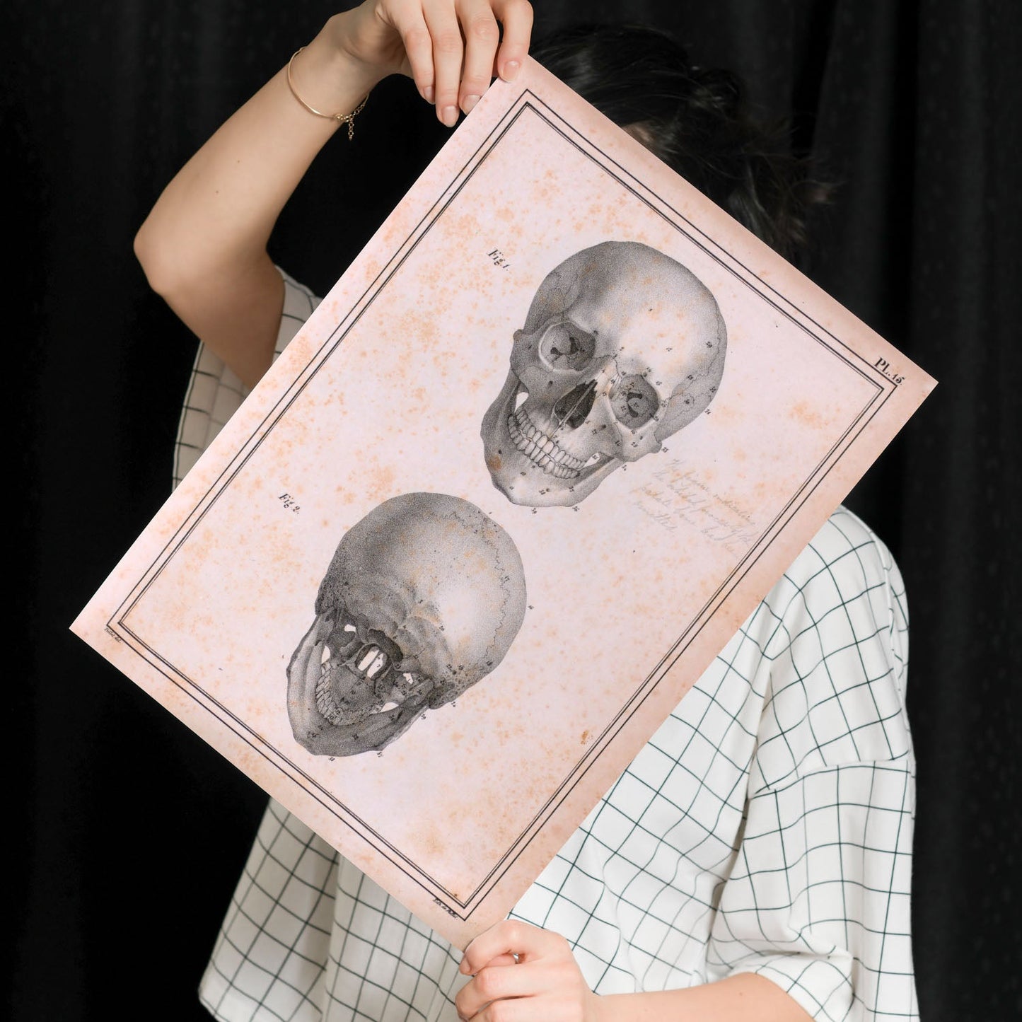Paillou Skull-Artwork-Nacnic-Nacnic Estudio SL