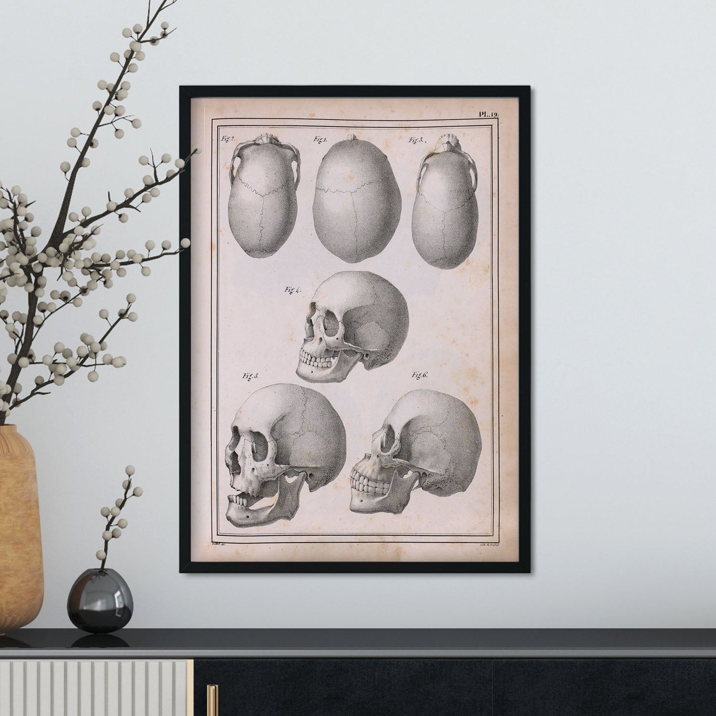 Paillou Skulls; cauasoid, negroid and mongoloid-Artwork-Nacnic-Nacnic Estudio SL