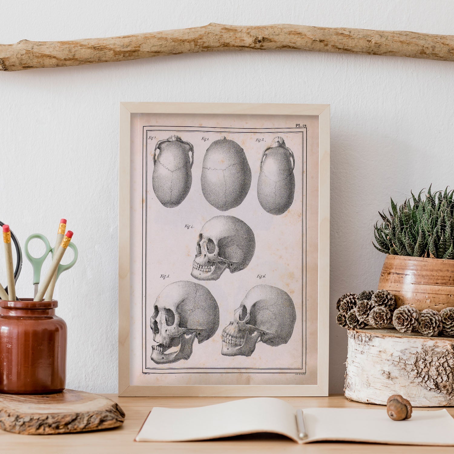 Paillou Skulls; cauasoid, negroid and mongoloid-Artwork-Nacnic-Nacnic Estudio SL