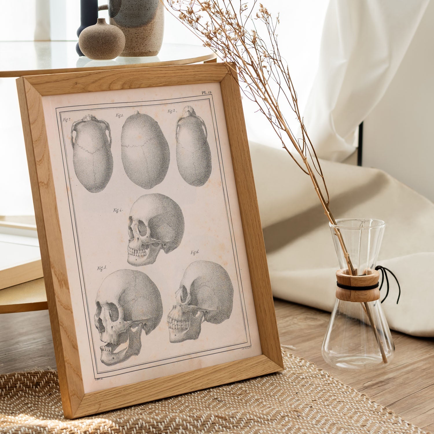 Paillou Skulls; cauasoid, negroid and mongoloid-Artwork-Nacnic-Nacnic Estudio SL