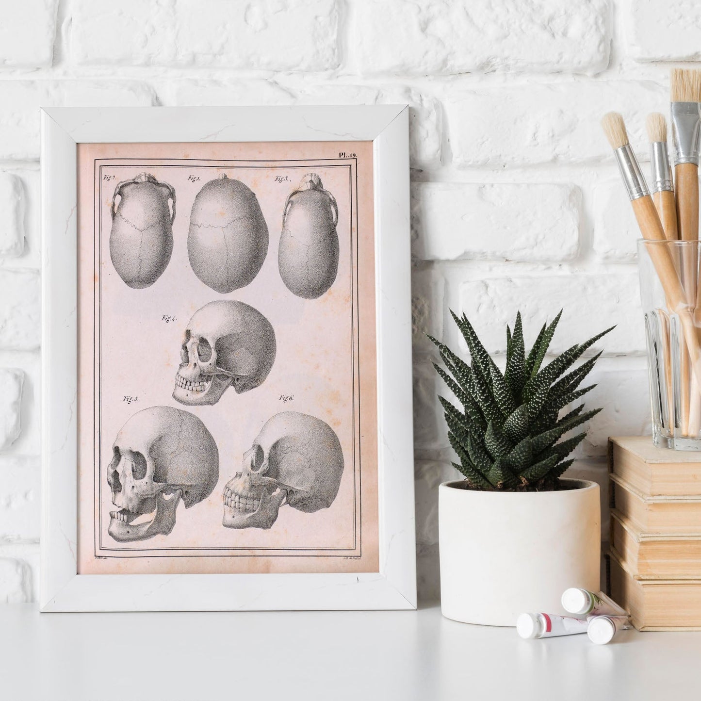 Paillou Skulls; cauasoid, negroid and mongoloid-Artwork-Nacnic-Nacnic Estudio SL