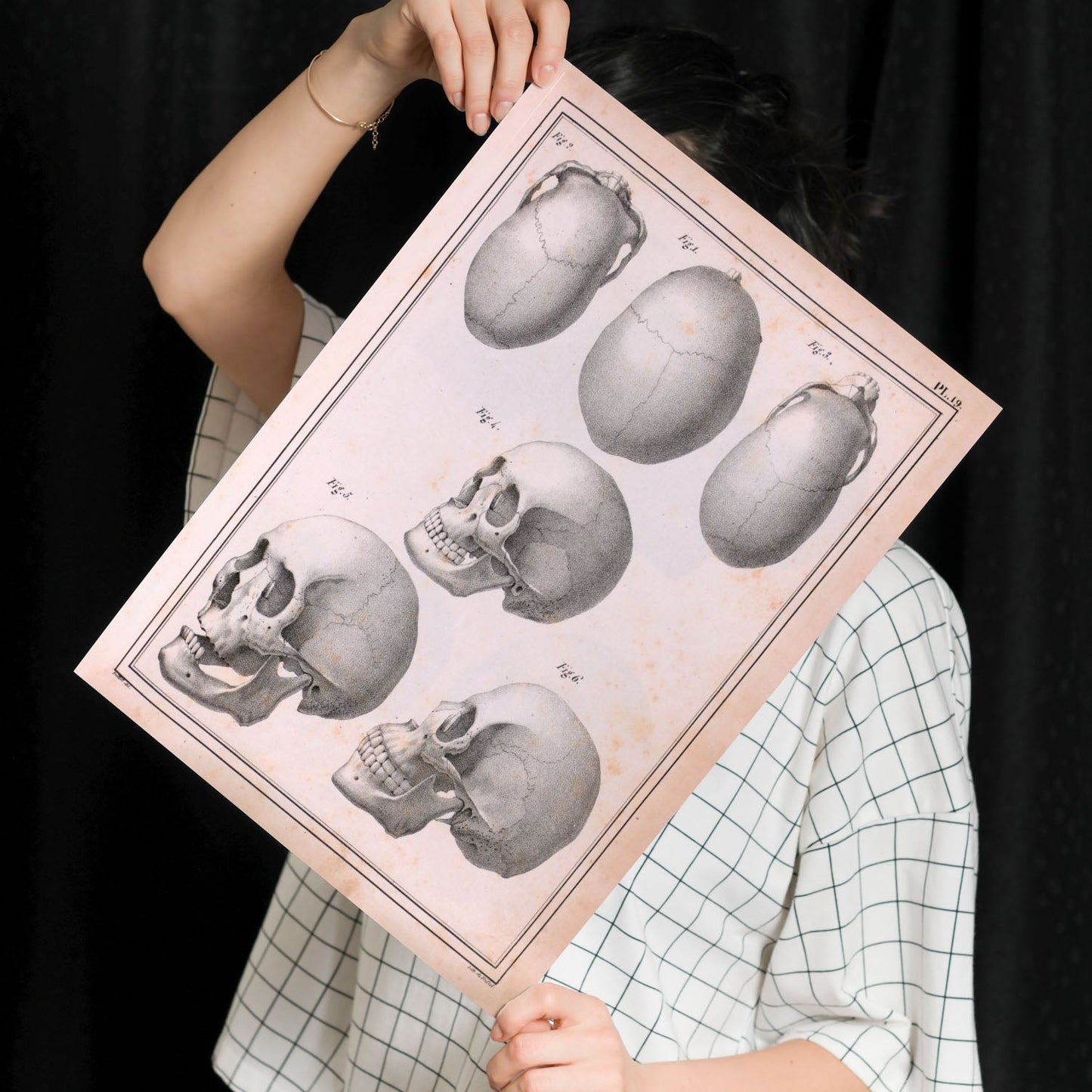 Paillou Skulls; cauasoid, negroid and mongoloid-Artwork-Nacnic-Nacnic Estudio SL