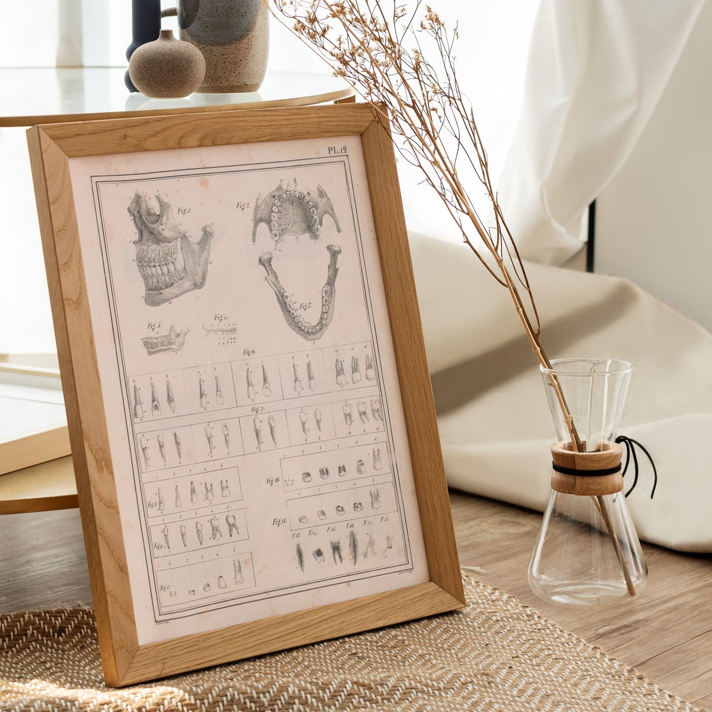 Paillou Teeth, maxilla and mandible-Artwork-Nacnic-Nacnic Estudio SL