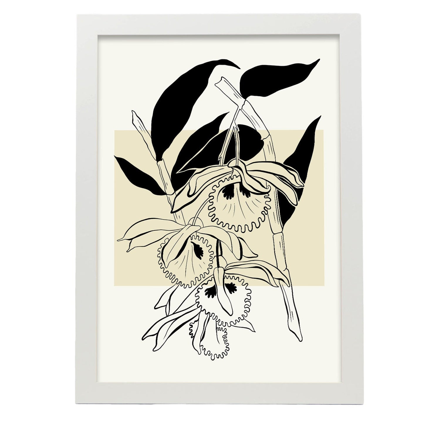 Paradise Orchid-Artwork-Nacnic-A3-Marco Blanco-Nacnic Estudio SL