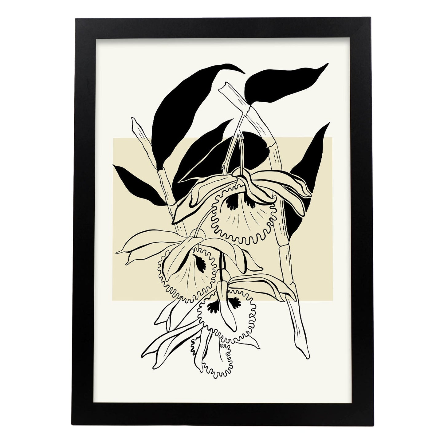 Paradise Orchid-Artwork-Nacnic-A3-Sin marco-Nacnic Estudio SL
