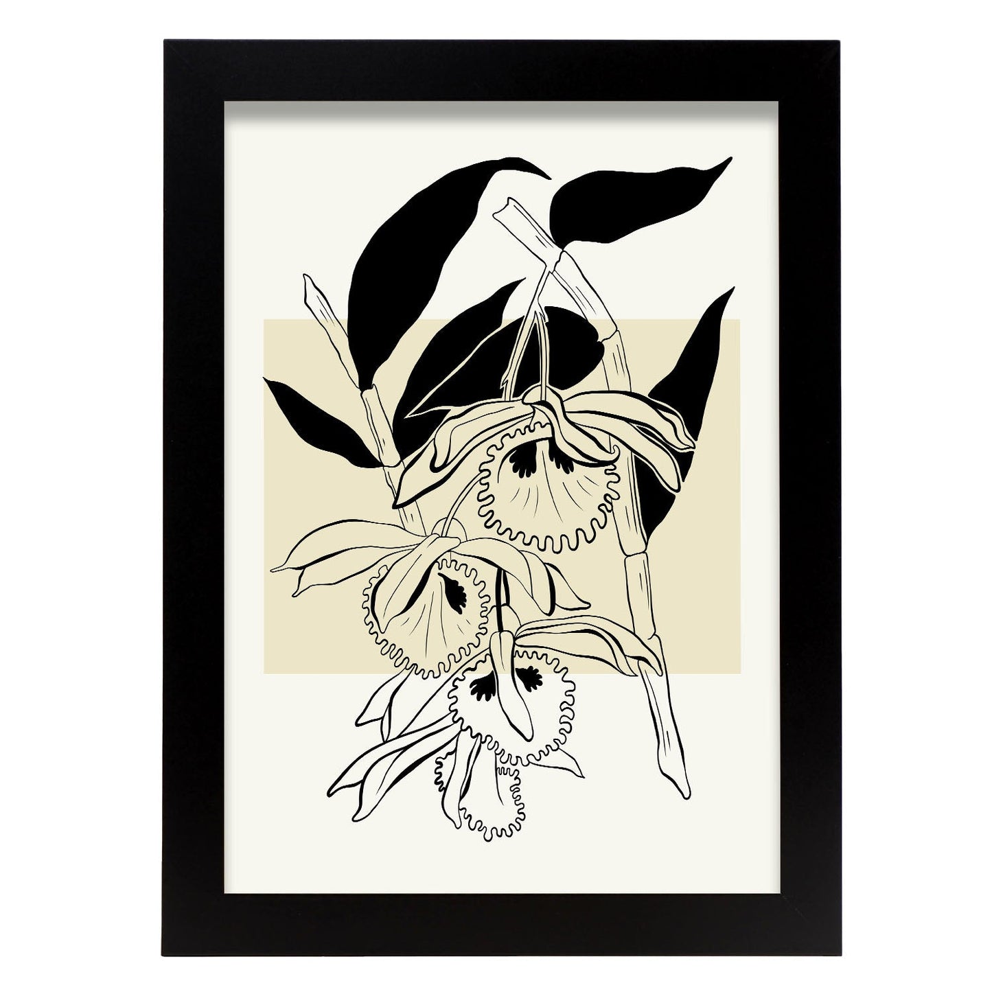 Paradise Orchid-Artwork-Nacnic-A4-Sin marco-Nacnic Estudio SL