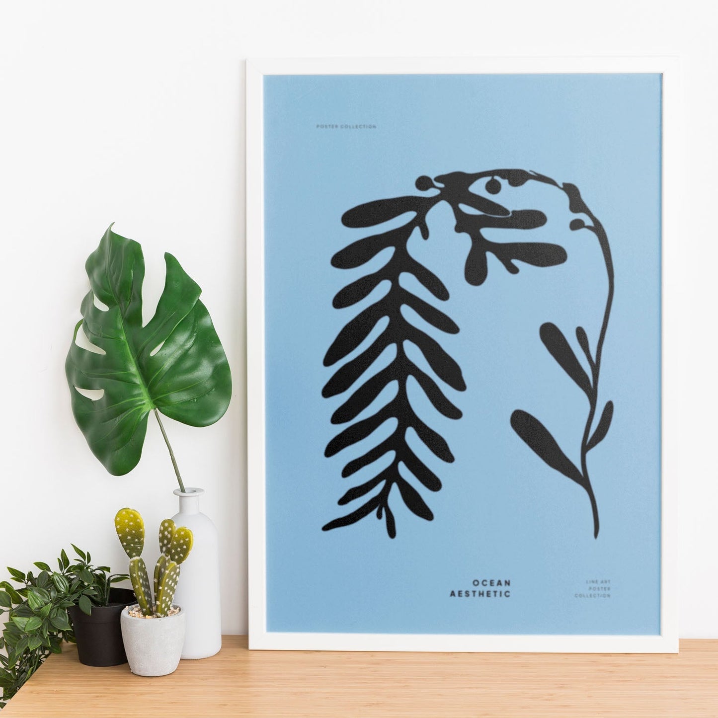 Phyllophora-Artwork-Nacnic-Nacnic Estudio SL