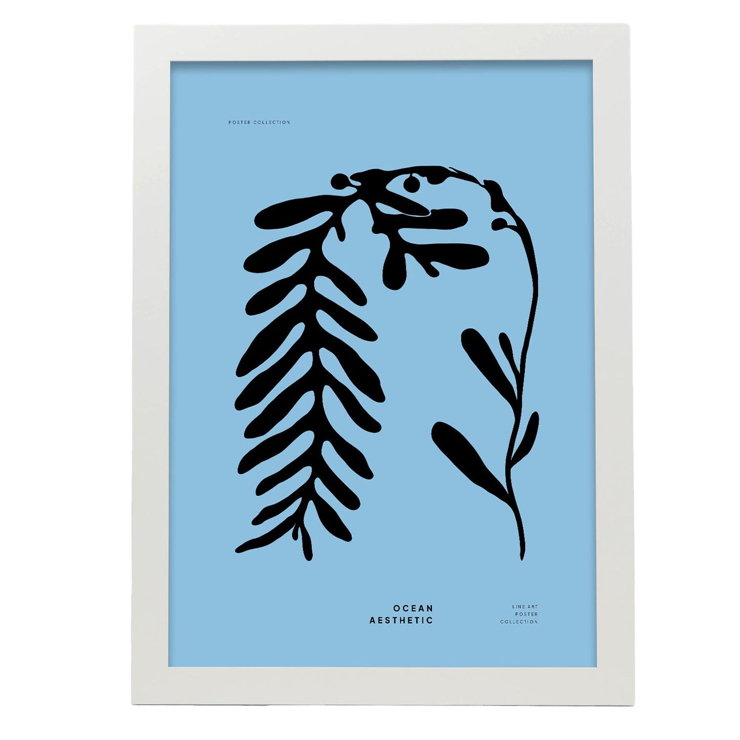 Phyllophora-Artwork-Nacnic-A3-Marco Blanco-Nacnic Estudio SL