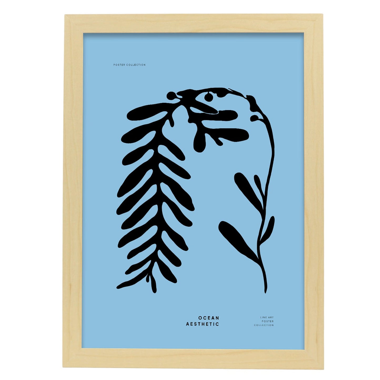 Phyllophora-Artwork-Nacnic-A3-Marco Madera clara-Nacnic Estudio SL