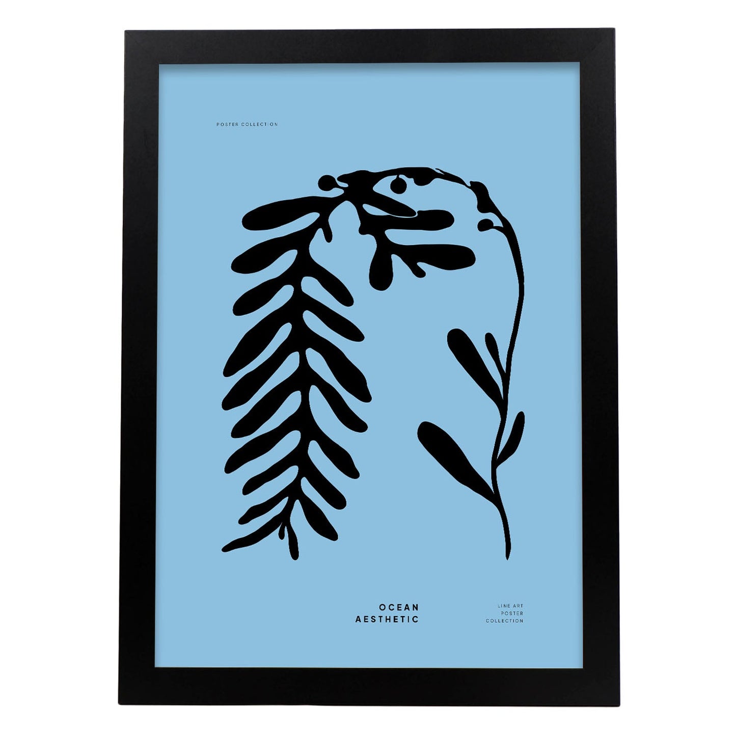 Phyllophora-Artwork-Nacnic-A3-Sin marco-Nacnic Estudio SL