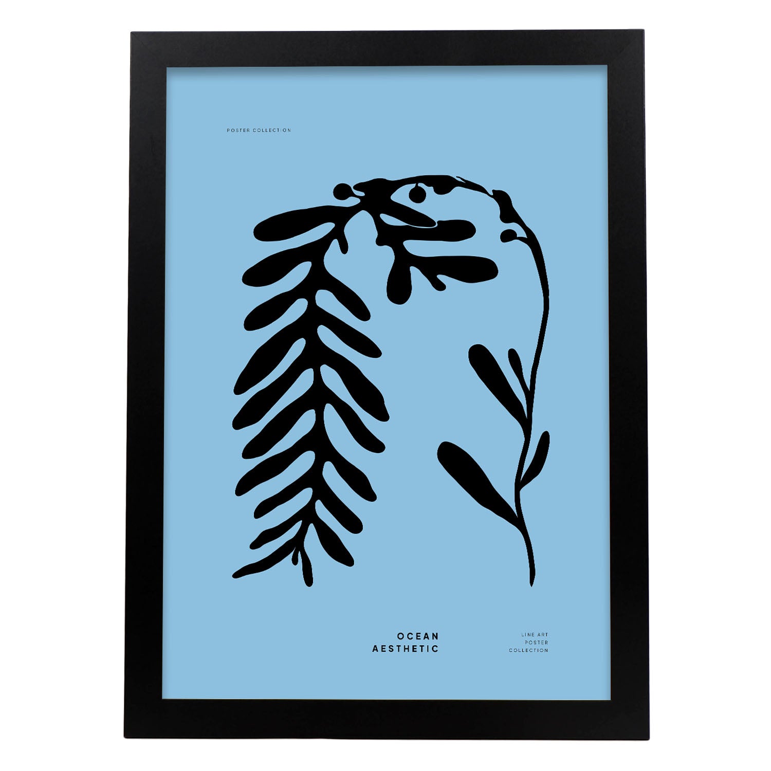 Phyllophora-Artwork-Nacnic-A3-Sin marco-Nacnic Estudio SL