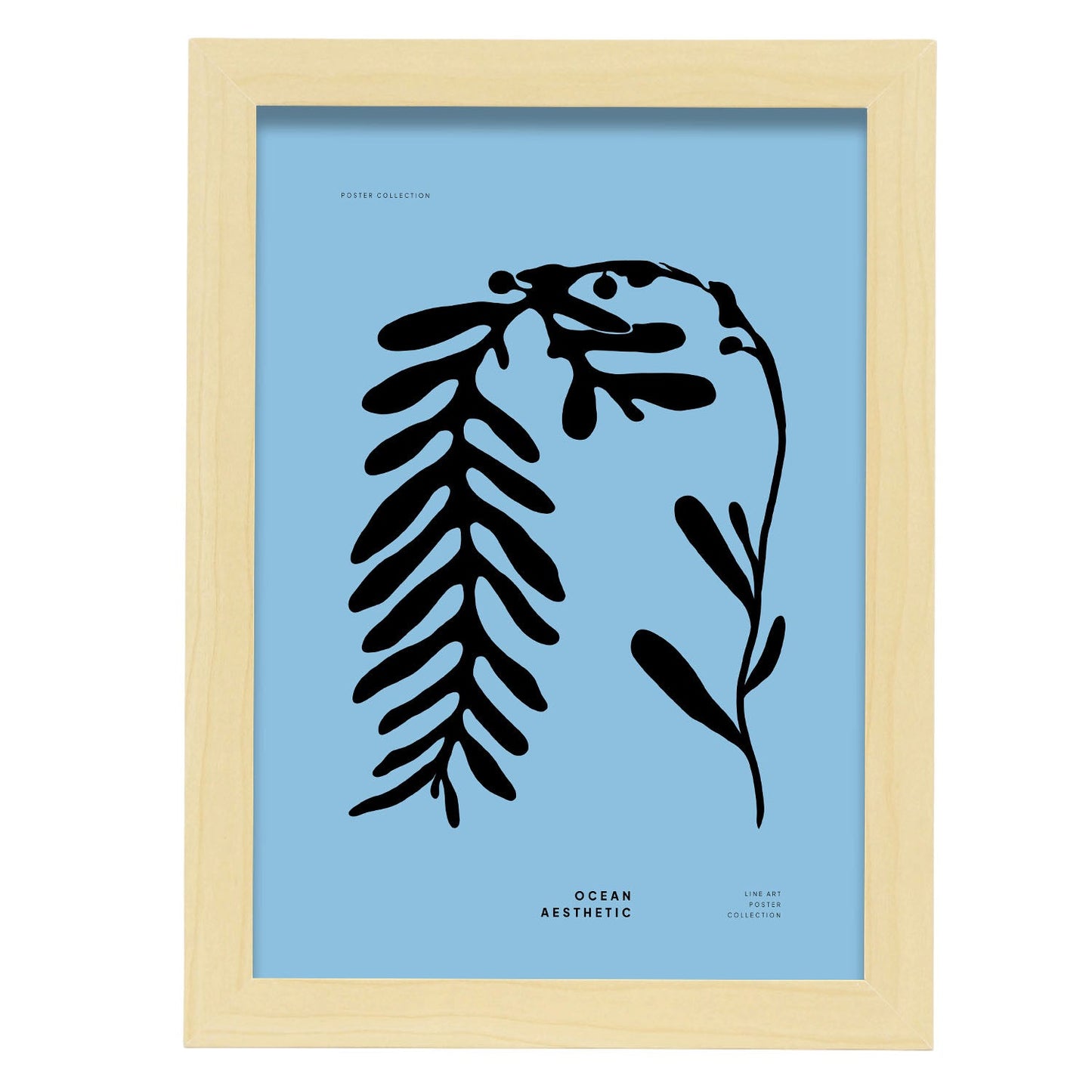 Phyllophora-Artwork-Nacnic-A4-Marco Madera clara-Nacnic Estudio SL