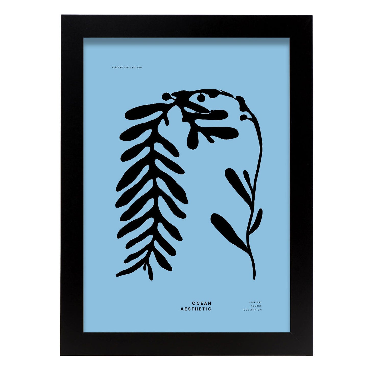 Phyllophora-Artwork-Nacnic-A4-Sin marco-Nacnic Estudio SL