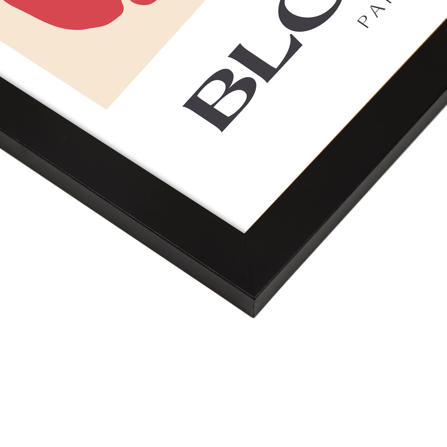 Poppy Flower Floral-Artwork-Nacnic-Nacnic Estudio SL