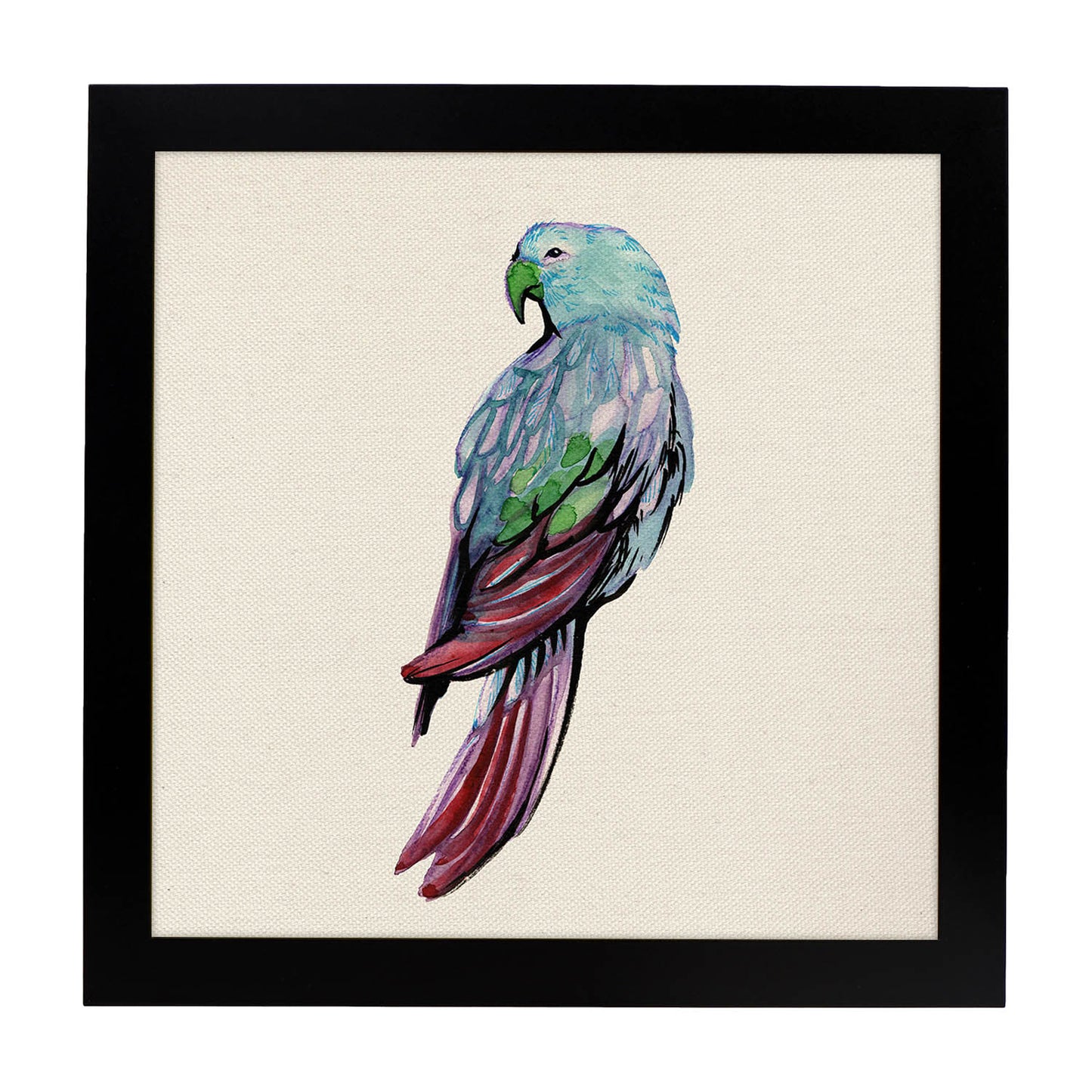 Poster cuadrado con dibujos de pájaros. Lámina Lorito azul, ilustrada con dibujos de pajaros y periquitos.-Artwork-Nacnic-20x20 cm-Marco Negro-Nacnic Estudio SL
