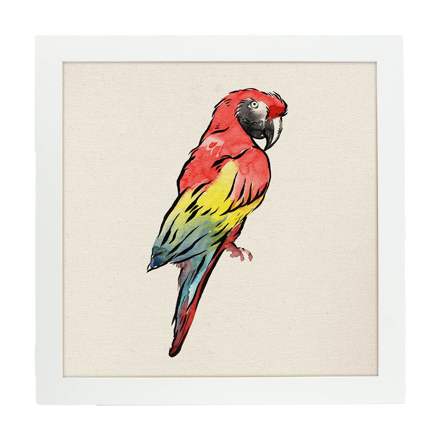 Poster cuadrado con dibujos de pájaros. Lámina Lorito que me dices, ilustrada con dibujos de pajaros y periquitos.-Artwork-Nacnic-20x20 cm-Marco Blanco-Nacnic Estudio SL