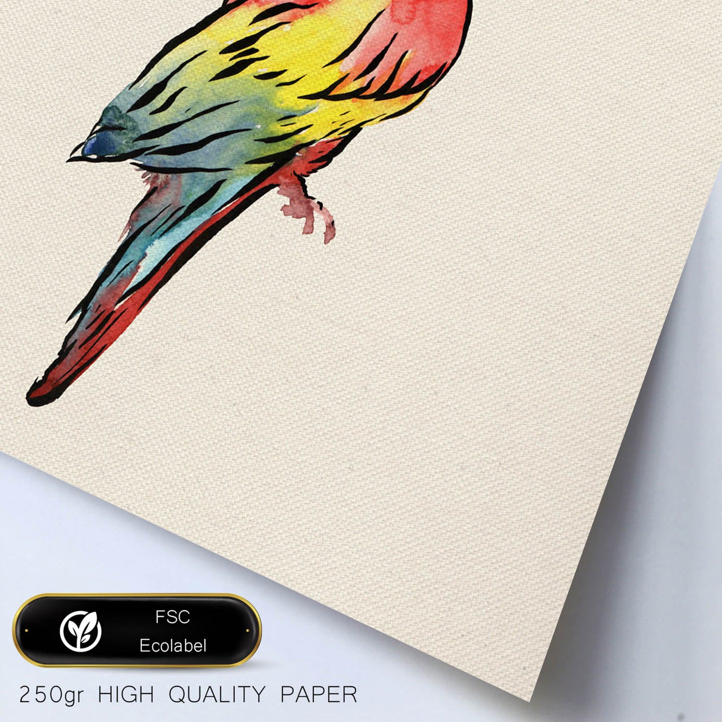 Poster cuadrado con dibujos de pájaros. Lámina Lorito que me dices, ilustrada con dibujos de pajaros y periquitos.-Artwork-Nacnic-Nacnic Estudio SL