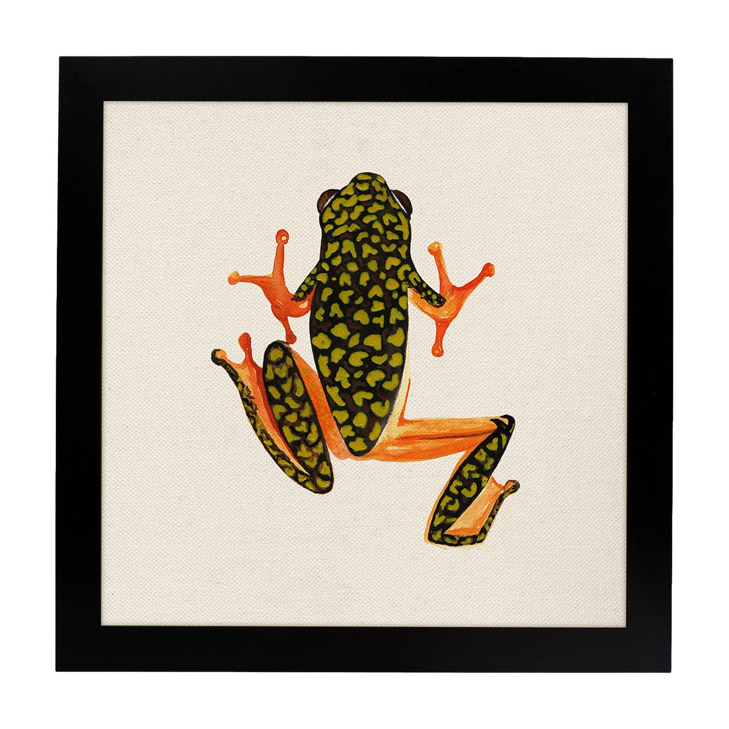 Poster cuadrado con dibujos de ranas y tortugas. Lámina Salta conmigo, ilustrada con dibujos de tortugas, ranas, y sapos.-Artwork-Nacnic-25x25 cm-Marco Negro-Nacnic Estudio SL