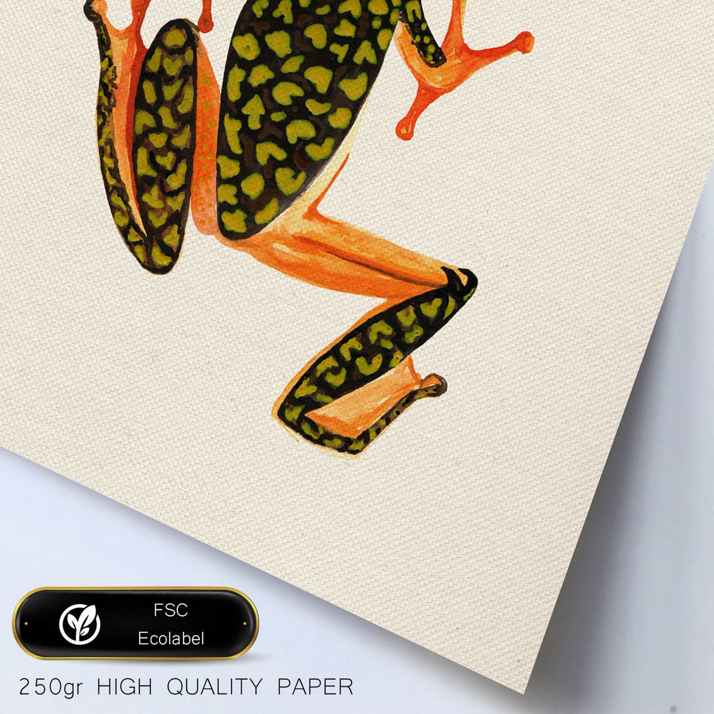 Poster cuadrado con dibujos de ranas y tortugas. Lámina Salta conmigo, ilustrada con dibujos de tortugas, ranas, y sapos.-Artwork-Nacnic-Nacnic Estudio SL