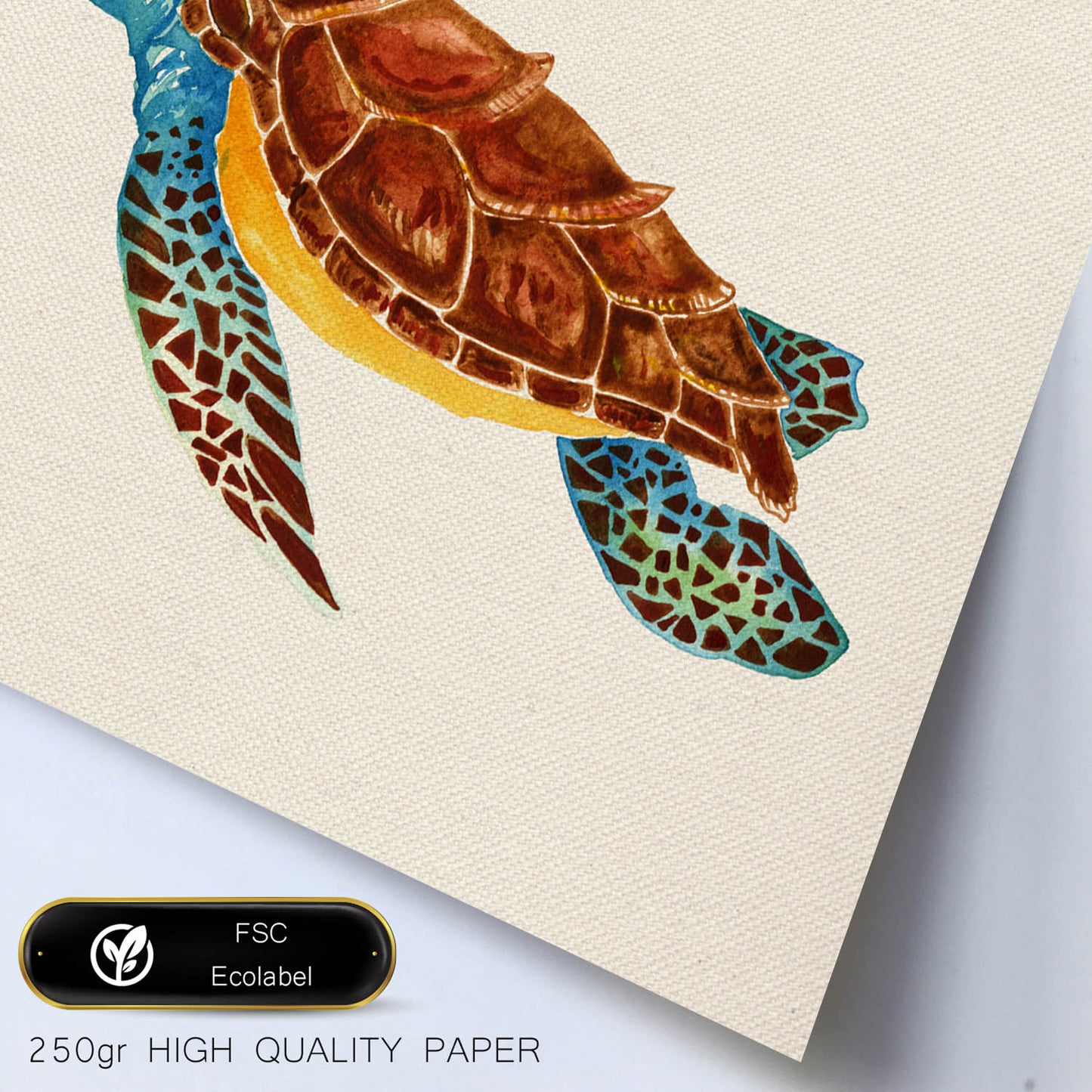 Poster cuadrado con dibujos de ranas y tortugas. Lámina Tortuga viajera, ilustrada con dibujos de tortugas, ranas, y sapos.-Artwork-Nacnic-Nacnic Estudio SL